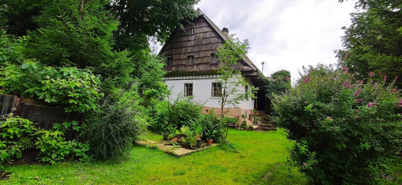 Chalupa Sanov U Kralik Červená Voda Exterior foto