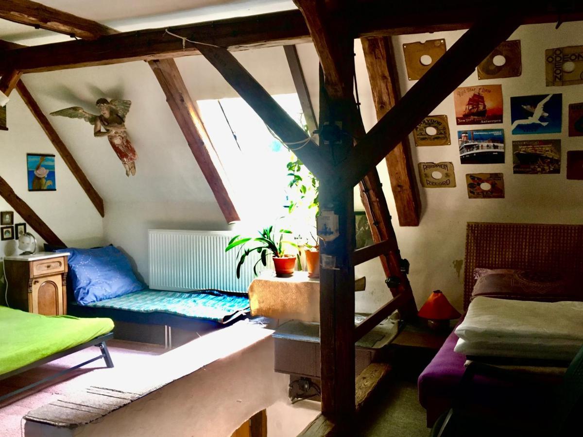Chalupa Sanov U Kralik Červená Voda Exterior foto
